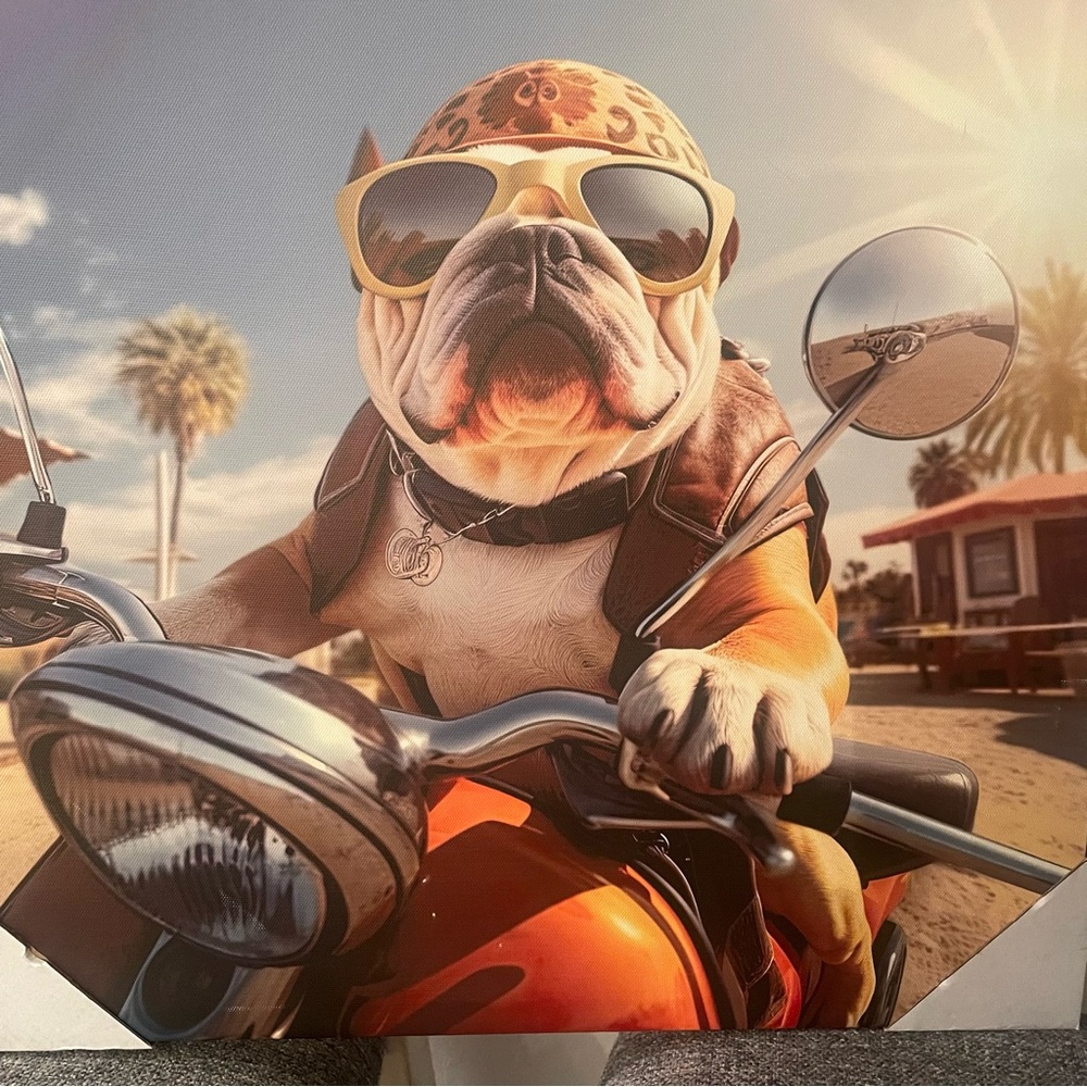 Bulldog Riding a Motorcycle colorful 18” canvas. Unique, fun home wall decor!
